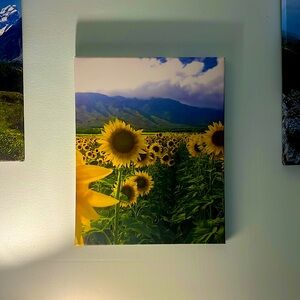 New Acrylic quality material decor is perfect for spring!! cute sunflower decor